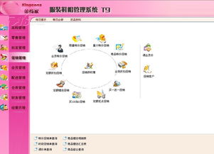 金商家T9服裝軟件 財務(wù)行業(yè)ERP管理解決方案及IT168素材大全